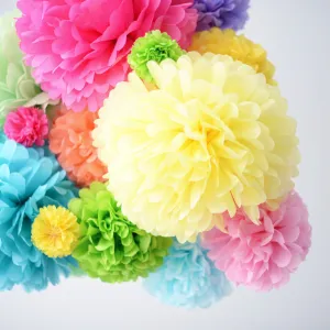 Rainbow pom poms party set