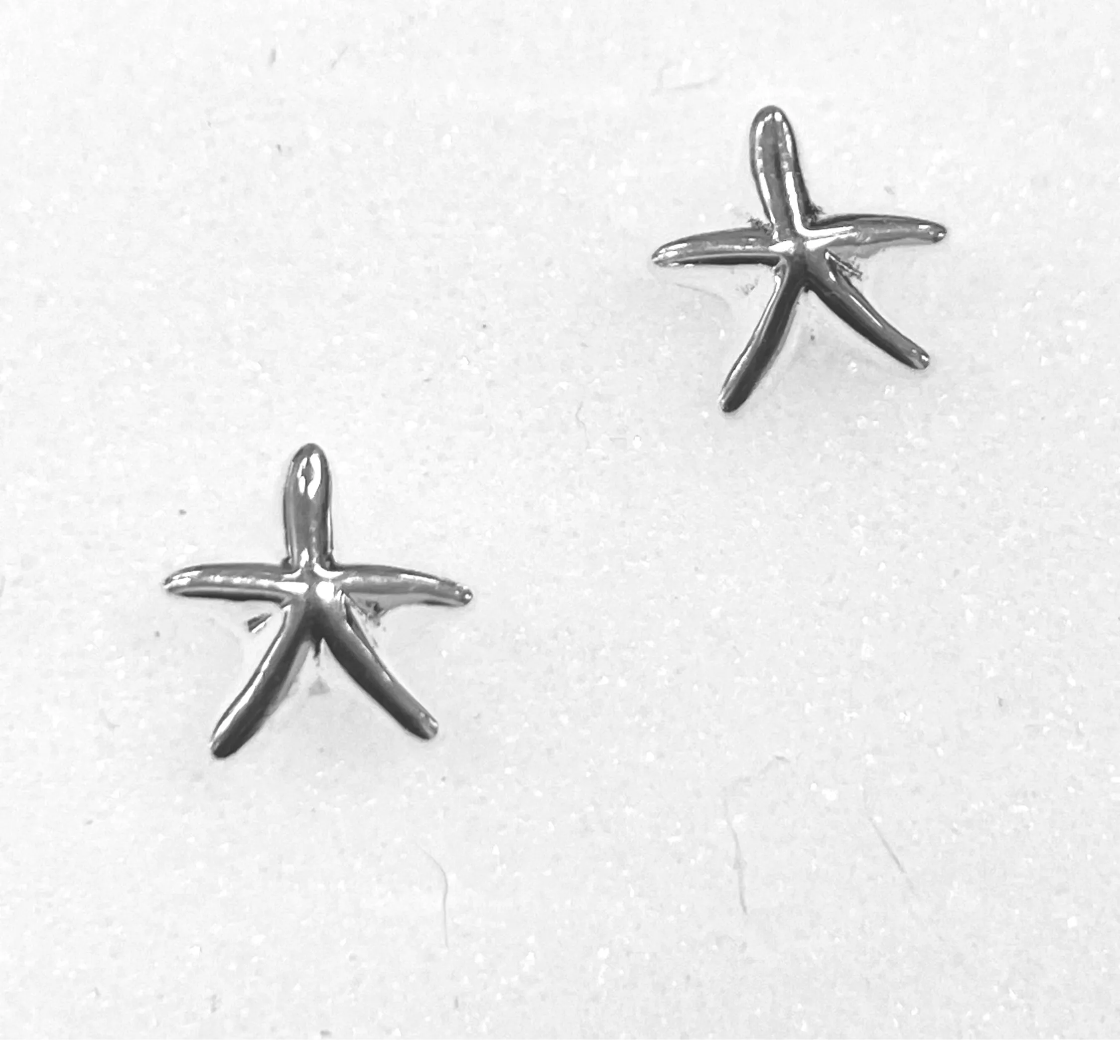 Starfish Earring Ai256