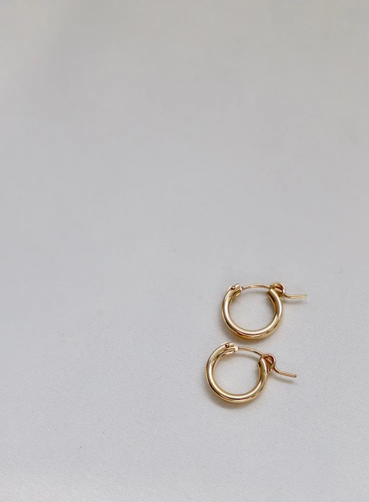 THE GOLD STANDARD HOOPS